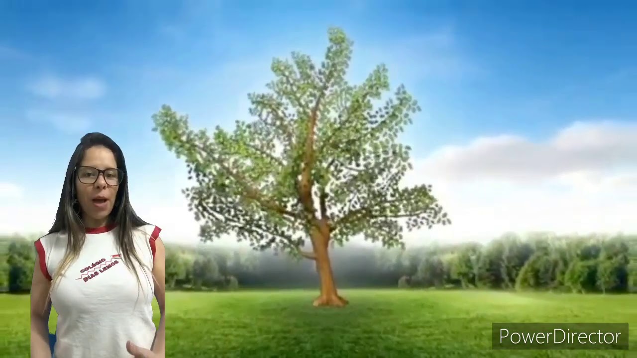 Elementos da natureza