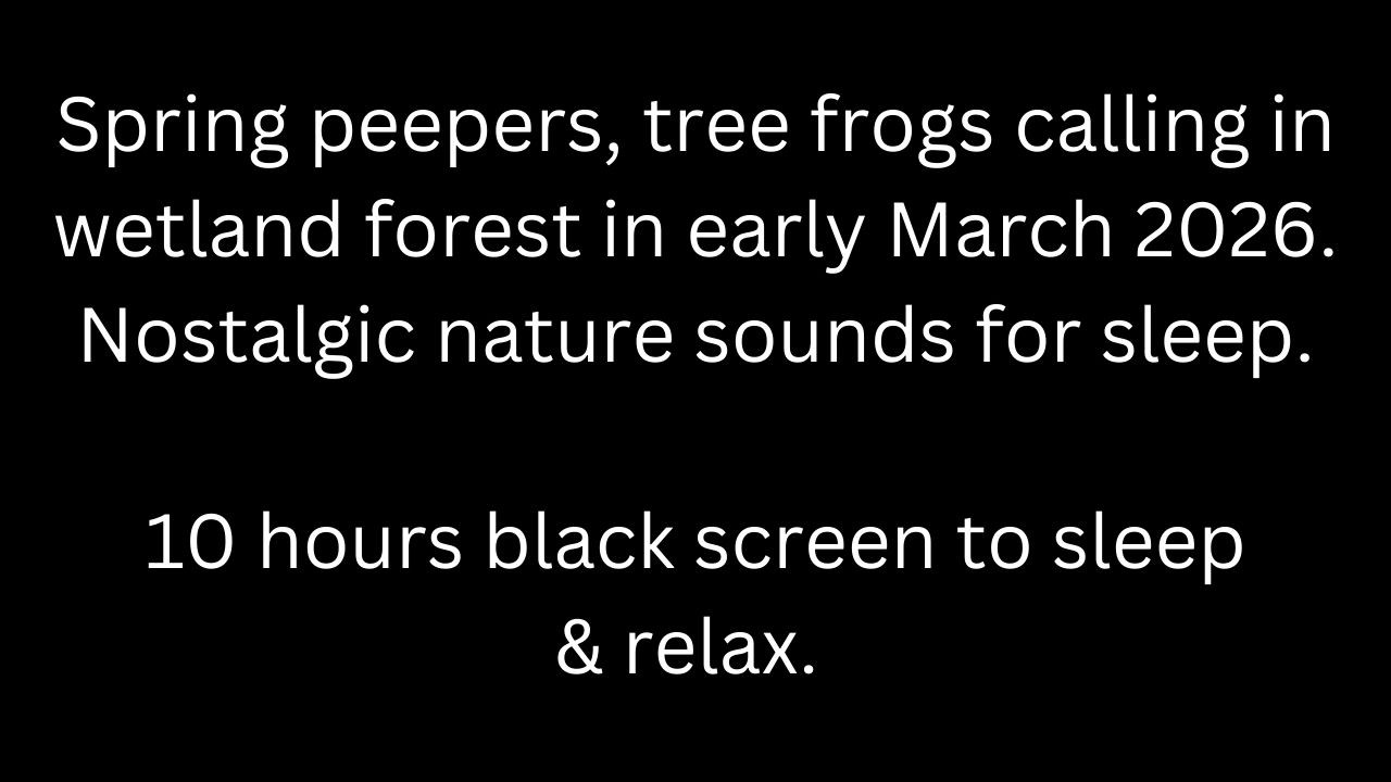 Spring peepers tree frogs calling in wetland forest 10 hour tree frog sounds black screen to sleep