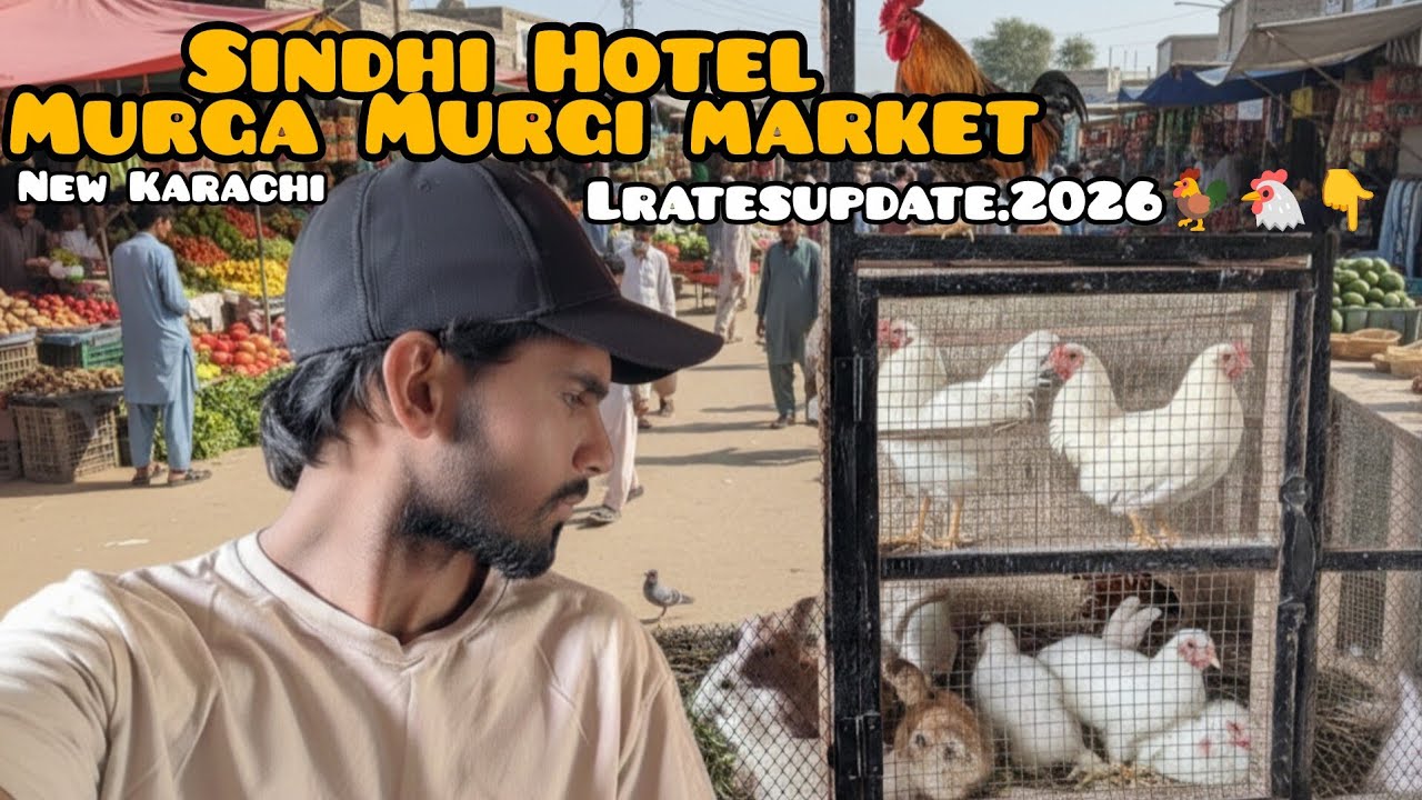 New Karachi Sindhi Hotel Birds Market Sector 5-F Sunday 1/3/2026 Sunday birda Market Karachi Lovers🤩