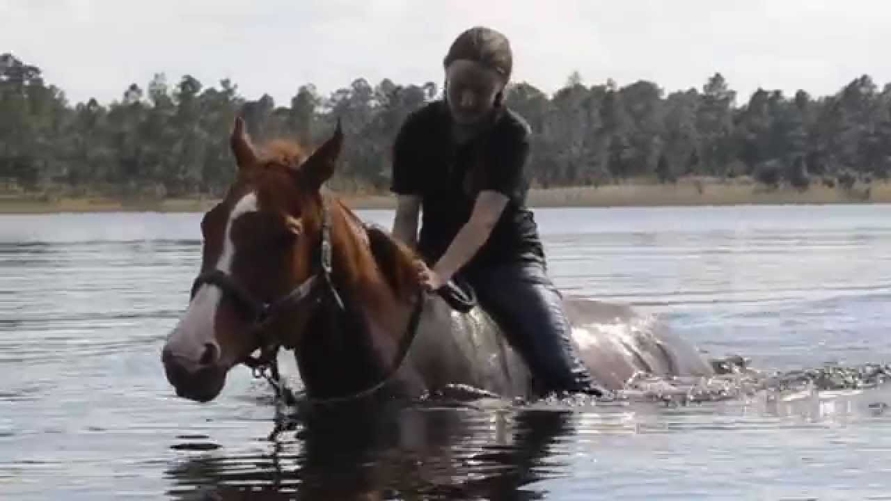 Swimming horses bareback!