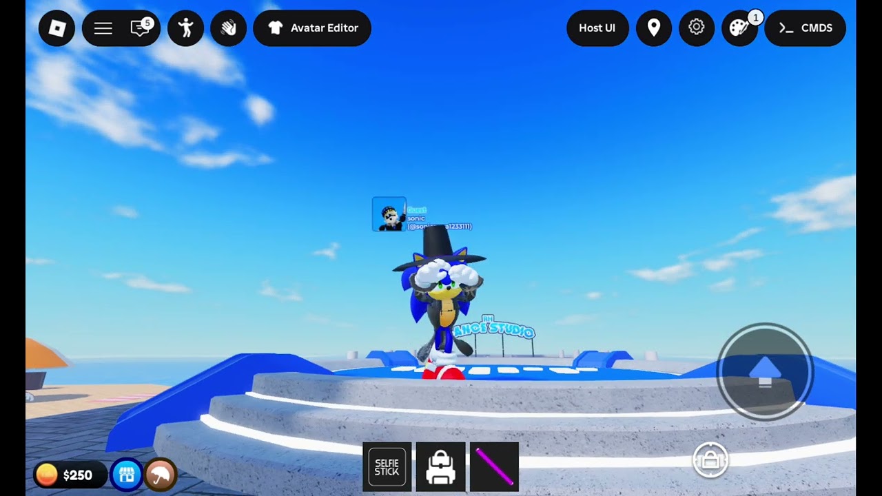 This video is for speedyblox pls watch my vid and never ever give up speedy we love u🦔💙💙💙💙