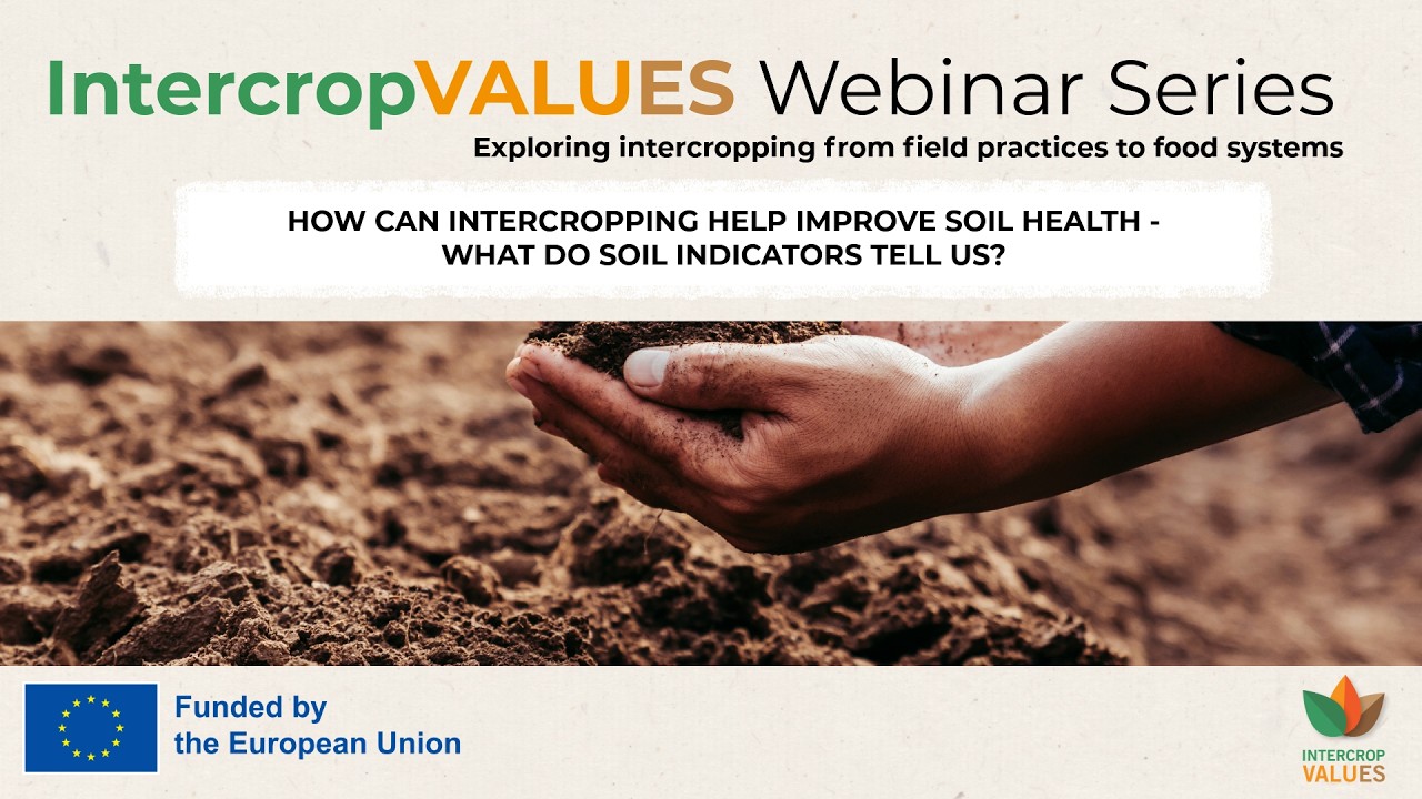 ICV Webinar Series - What Do Soil Indicators Tell Us? (26/02/2026)