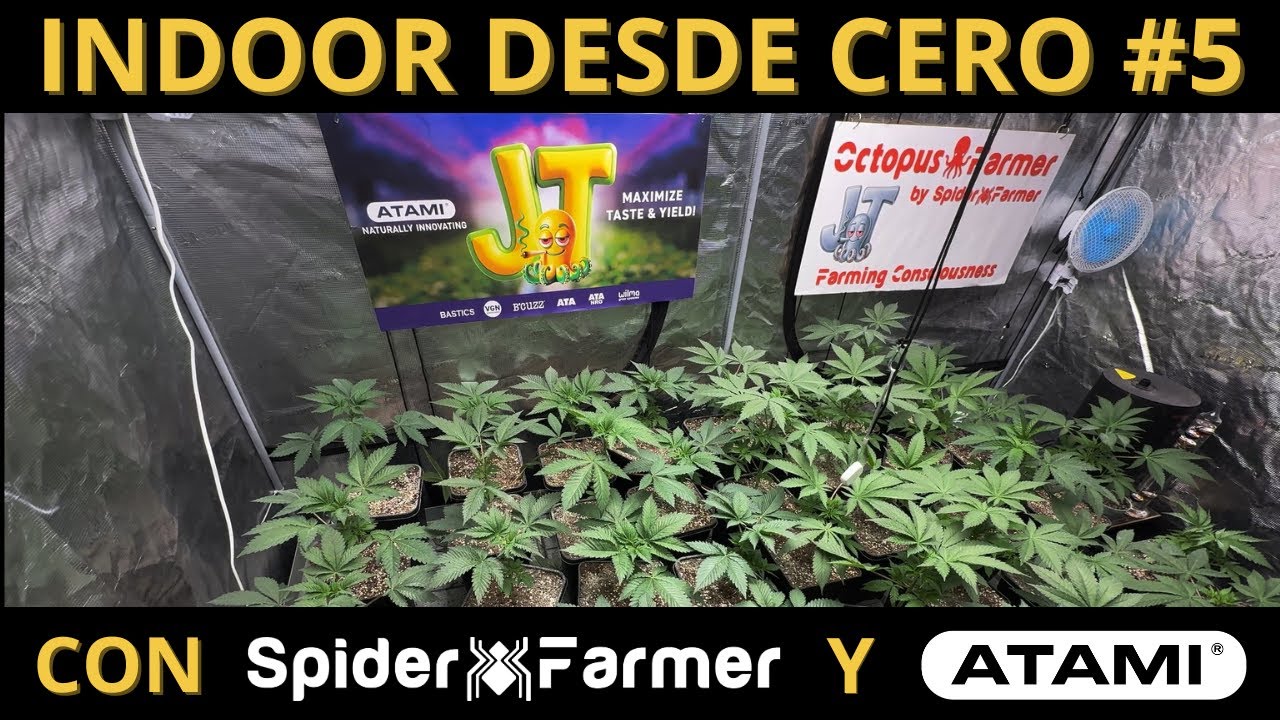 CULTIVO HIDROP&Oacute;NICO SIN ERRORES Y AUTOMATIZADO: &iexcl;INSTALO EL VENTILADOR Y LO AUTOMATIZO CON EL GGS!