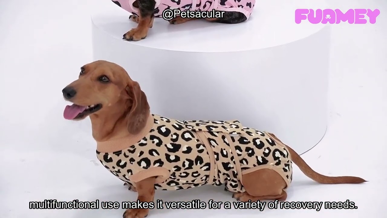 FUAMEY Recovery Suit Review: A Comfortable Alternative to the Cone for Dog Surgery Recovery