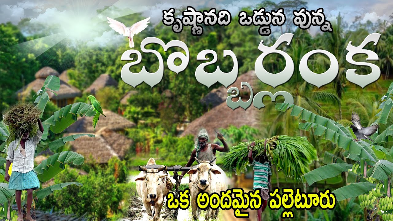 అందమైన పల్లెటూరు బొబ్బర్లంక ఇది కృష్ణానది పరీవాహక ప్రాంతం. Bobberlanka Village. India Village Life