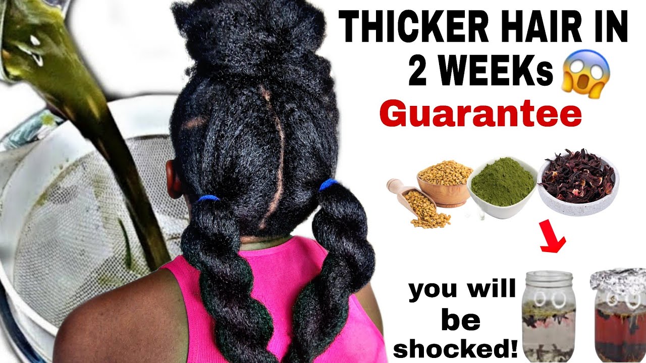 Hair Grow Insanely Fast! Achieve THICK FULL & LONG HAIR Fast with Moringa Hibiscus n Fenugreek🔥