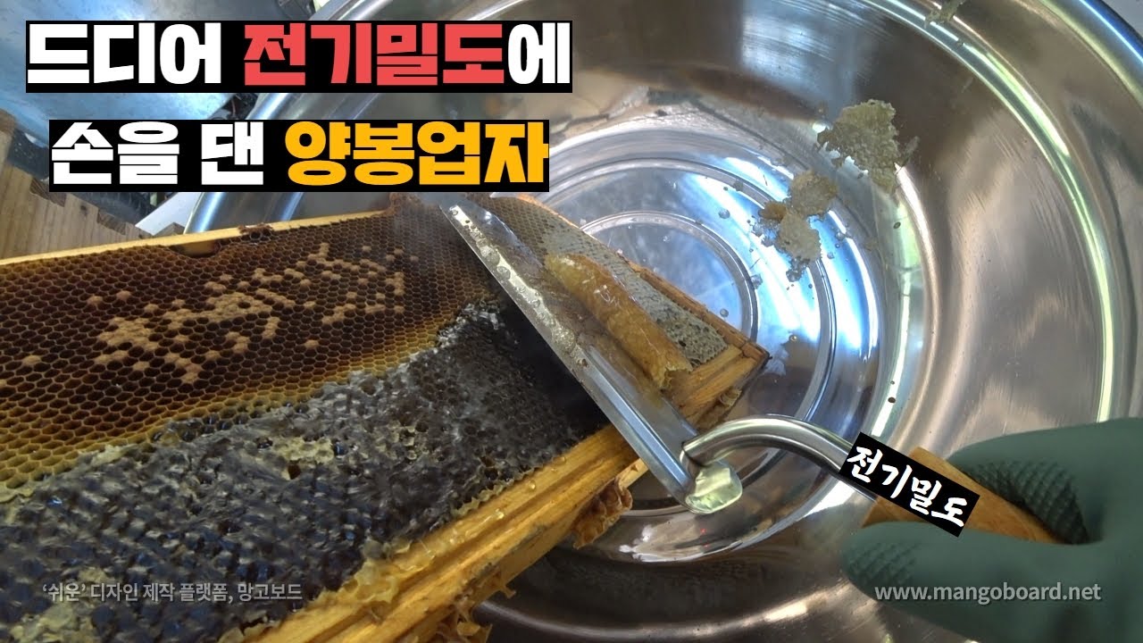 극혐하던 전기밀도 사용해서 올해 첫 벚꽃꿀 채밀 해보기