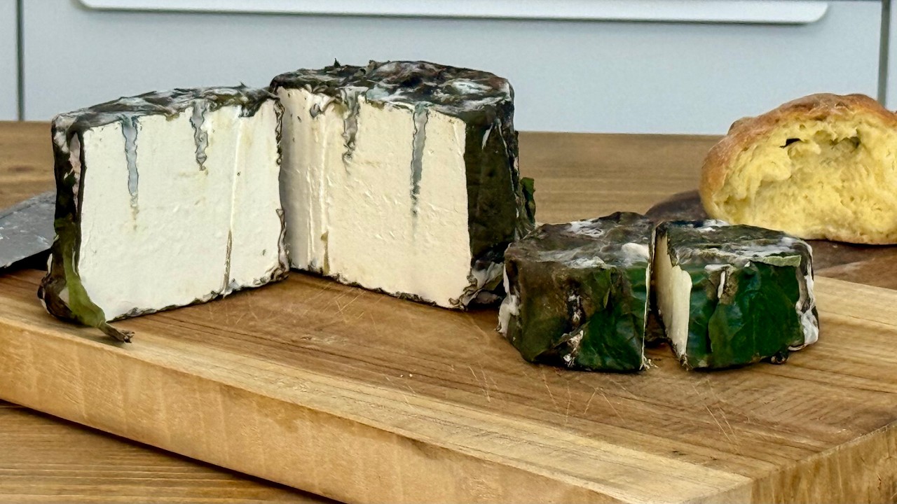 FORMAGGIO ERBORINATO fatto in casa in FOGLIA di FICO senza caglio