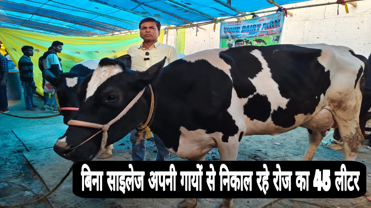 1 गाय से शुरू किया डेरी फार्म… आज हैं 70 गाय 🐄 | मेहनत, संघर्ष और सफलता की सच्ची कहानी