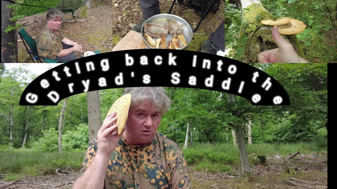 Getting back into the Dryad's Saddle;   wild mushrooms & venison sausages