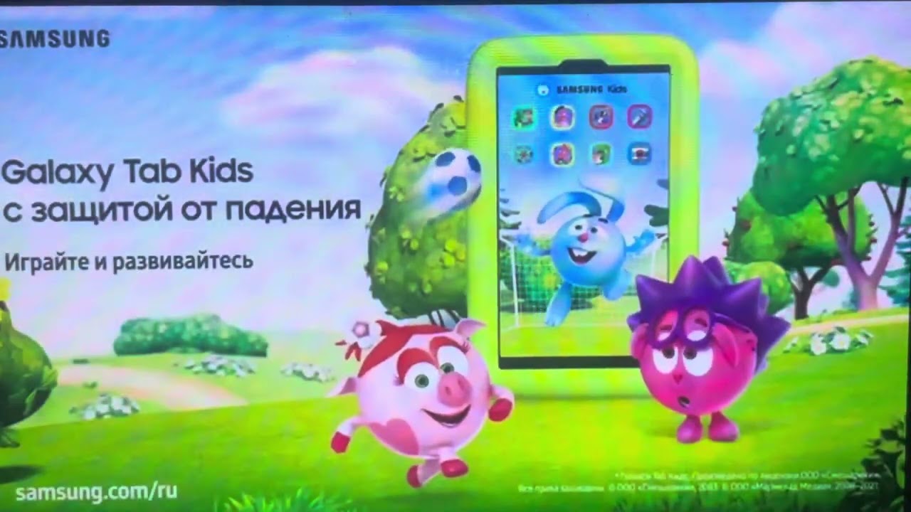 20 ноября 2025 г.