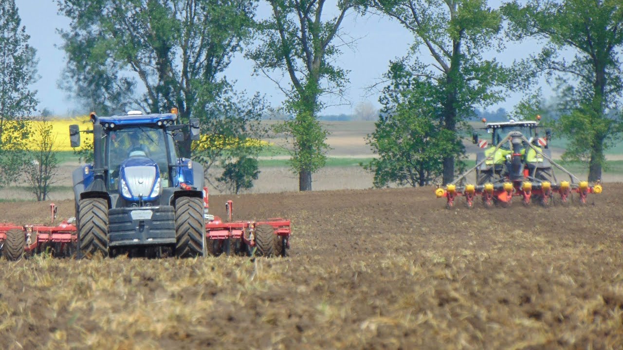PONAD 800 KM NA JEDNYM POLU ☆Uprawa & Siew Kukurydzy ☆ 2x Claas ☆ New Holland