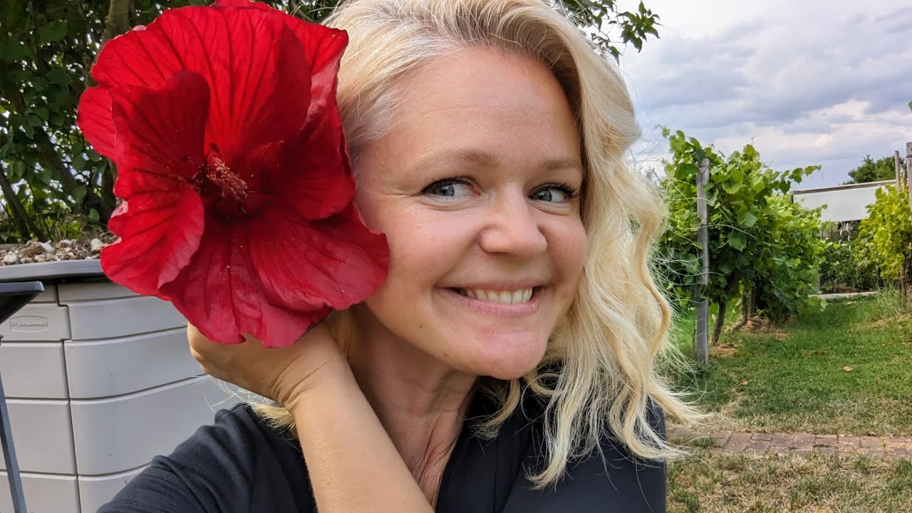Gartenrundgang Juli 2023 viel Neues und Interessantes!