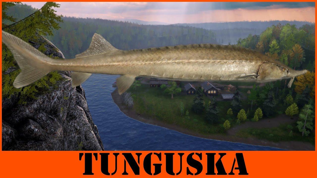 Russian Fishing 4 Sturgeon Tunguska River SPOT RF4 #53