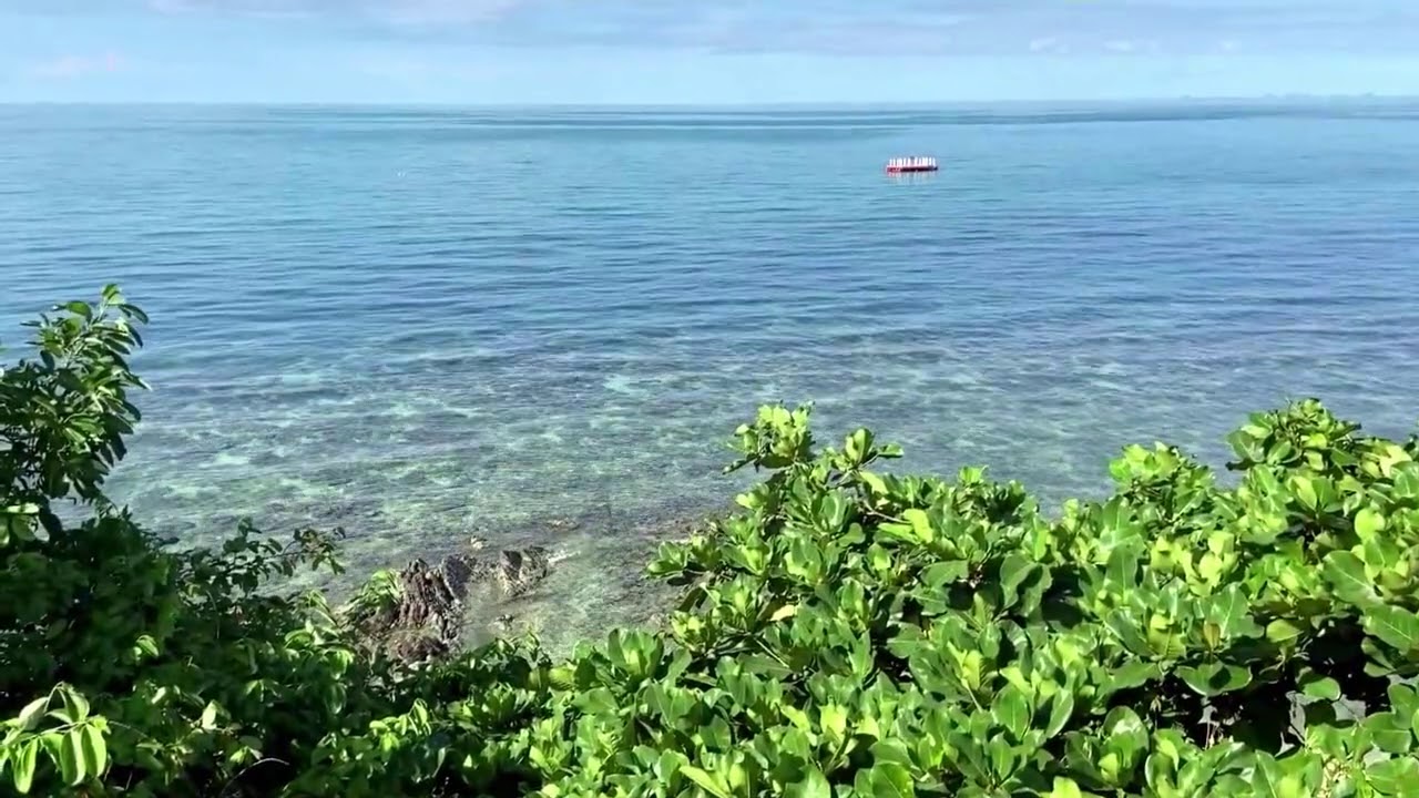 Sonidos Del Caribe Para Dormir Relajado