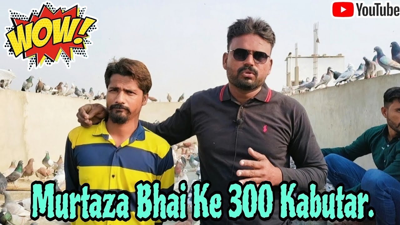 Murtaza Bhai Ke 300 Kabutar || Pigeon Video.. 😃