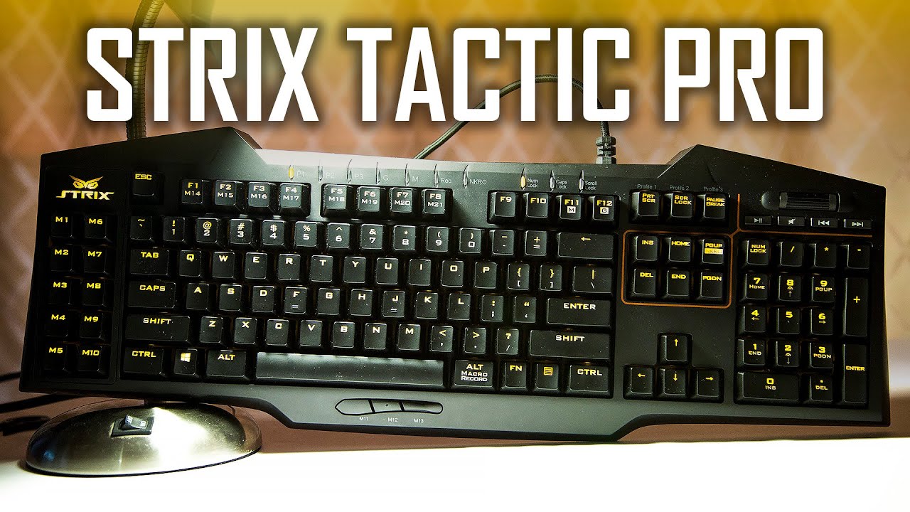 ASUS STRIX Tactic PRO Gaming Keyboard Review | Why you so expensive??
