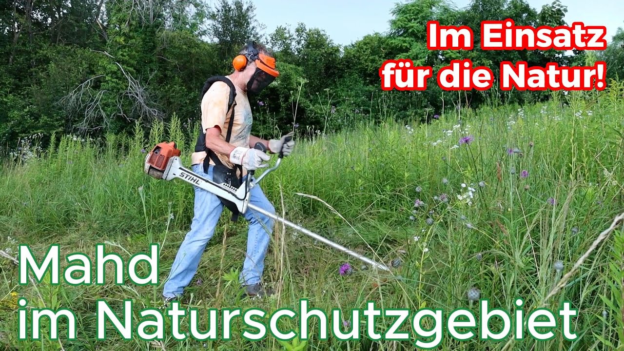 Mache mit! Voller Einsatz für den Naturschutz - Mahd im Naturschutzgebiet