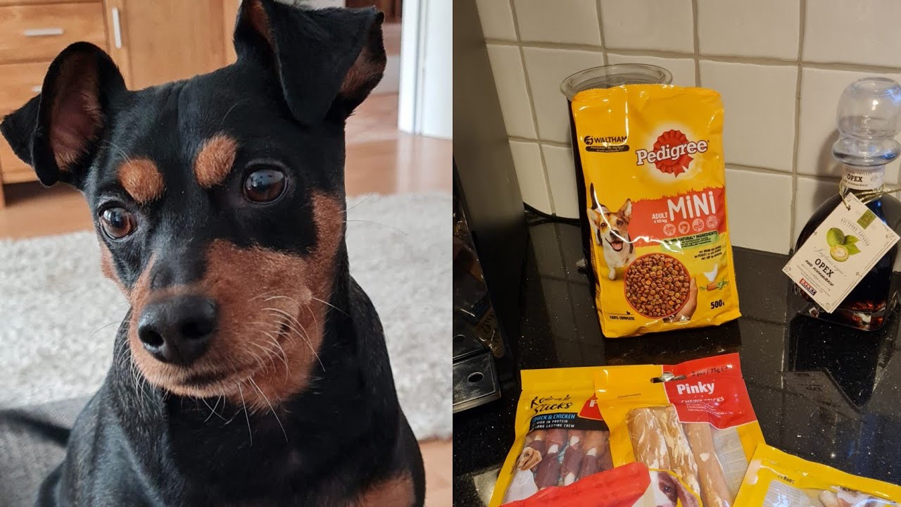 Vlog 🇩🇪/Что кушает наша Собачка 🐕/Рик любит только эту еду