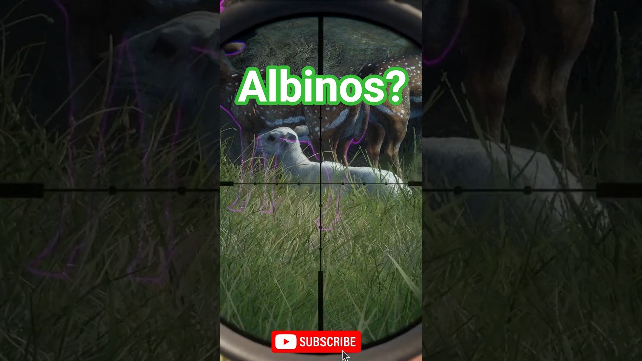 Czy to naprawdę ALBINOS 😱💎? Sprawdźmy!🤯