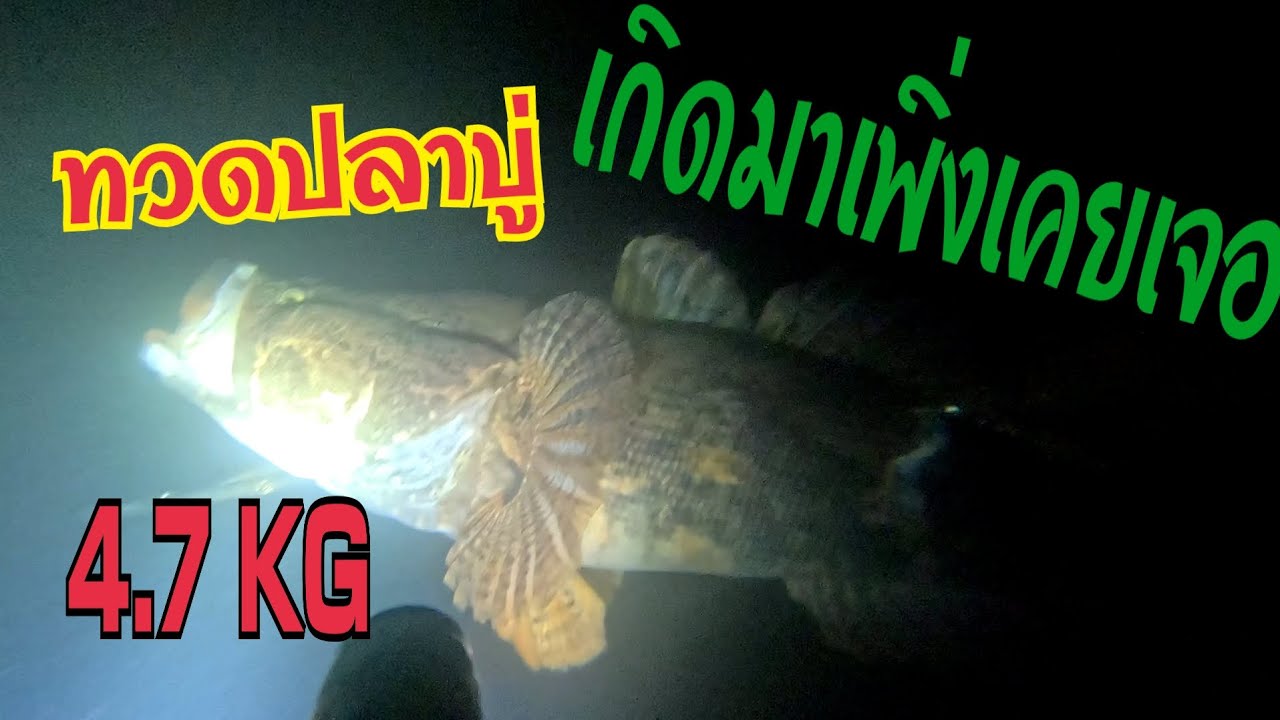 โอ้โห..ทวดปลาบู่..เกิดมาพึ่งเคยเจอเป็นครั้งแรก