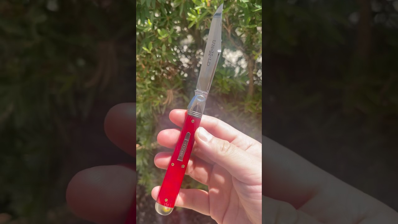 Great Eastern Cutlery 65 Indian Paint Brush Jigged Bone Northfield UnXLd #youtubeshorts #edc #knife