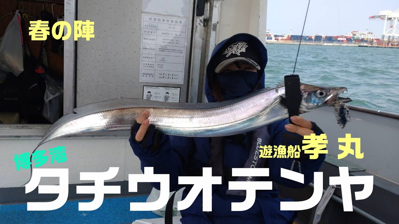 【タチウオテンヤ】ようやく上向いてきた博多湾でドラゴンを狙え《好きっちゃ釣行記》