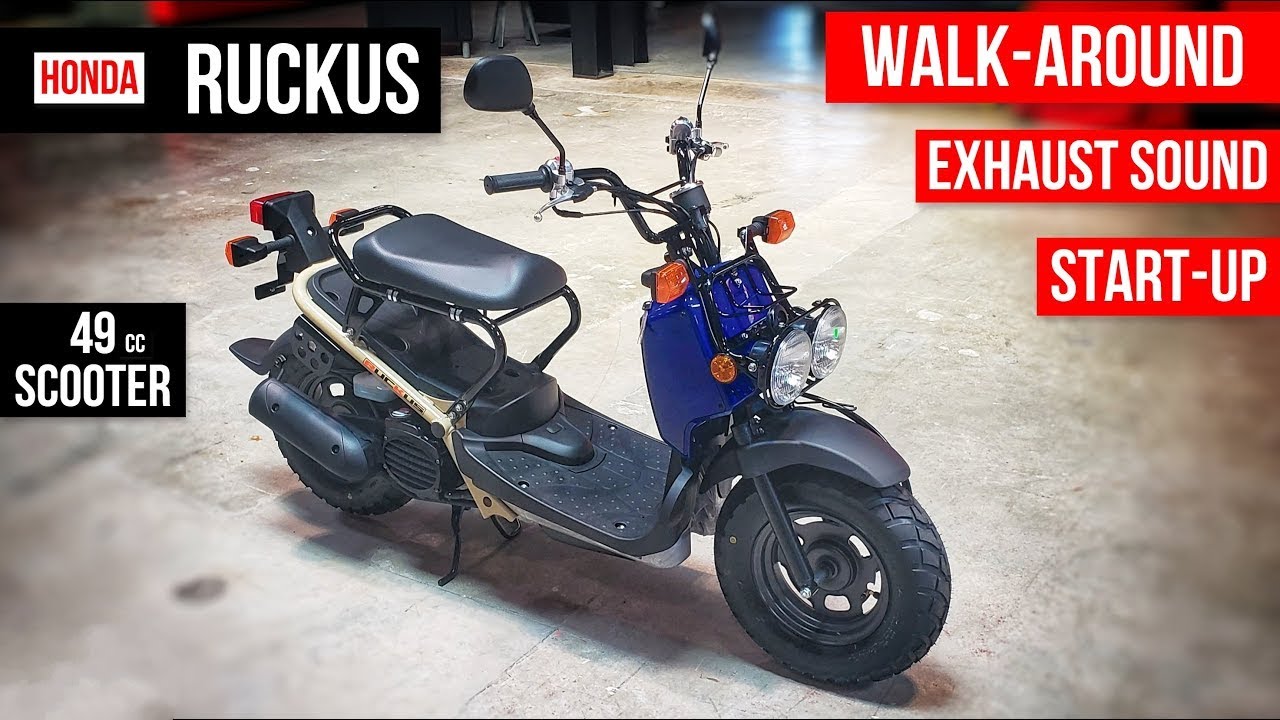 New Honda Ruckus 49cc Scooter Walkaround + Exhaust & Engine Sound | NPS50 | Midnight Blue / Tan