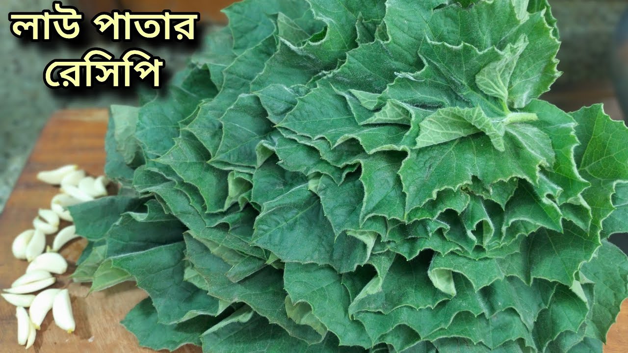 লাউ পাতার এই রেসিপি একবার খেলে বারবার খেতে চাইবেন|লাউ পাতার রেসিপি|Lau patar recipe|Bengali recipe