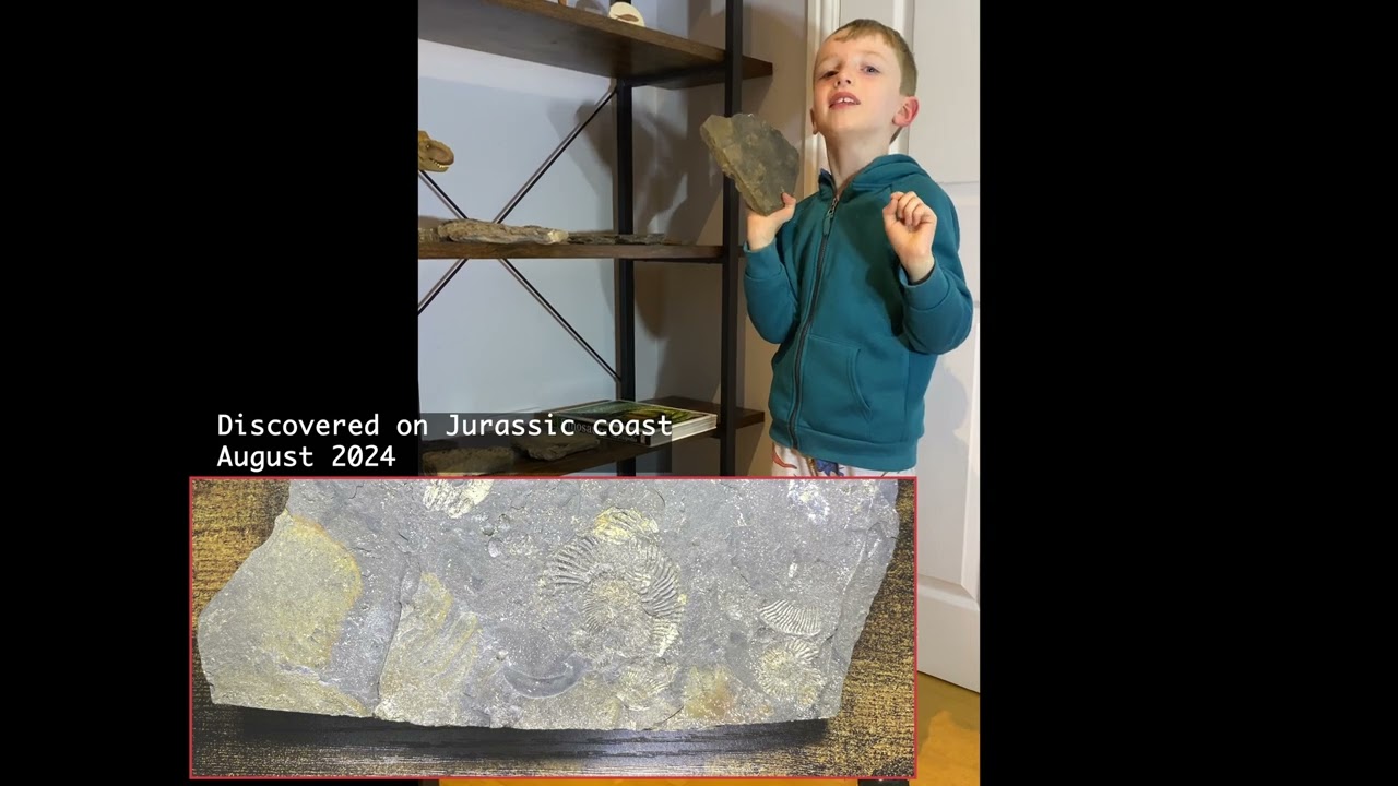 Check out these awesome fossils! | CHILDRENS FOSSIL COMPETITION 2024