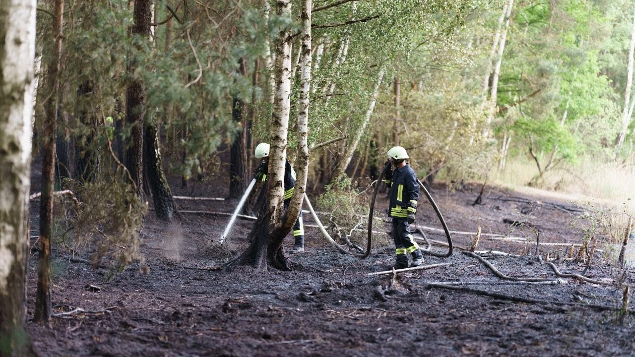 Döbern: Feuerwehr kämpft gegen Waldbrand bei starken Wind