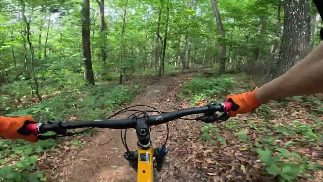 MTB Trail - 3 of 5 @ Charleston Park in Georgia #mtb #mtbtrails #mountainbike