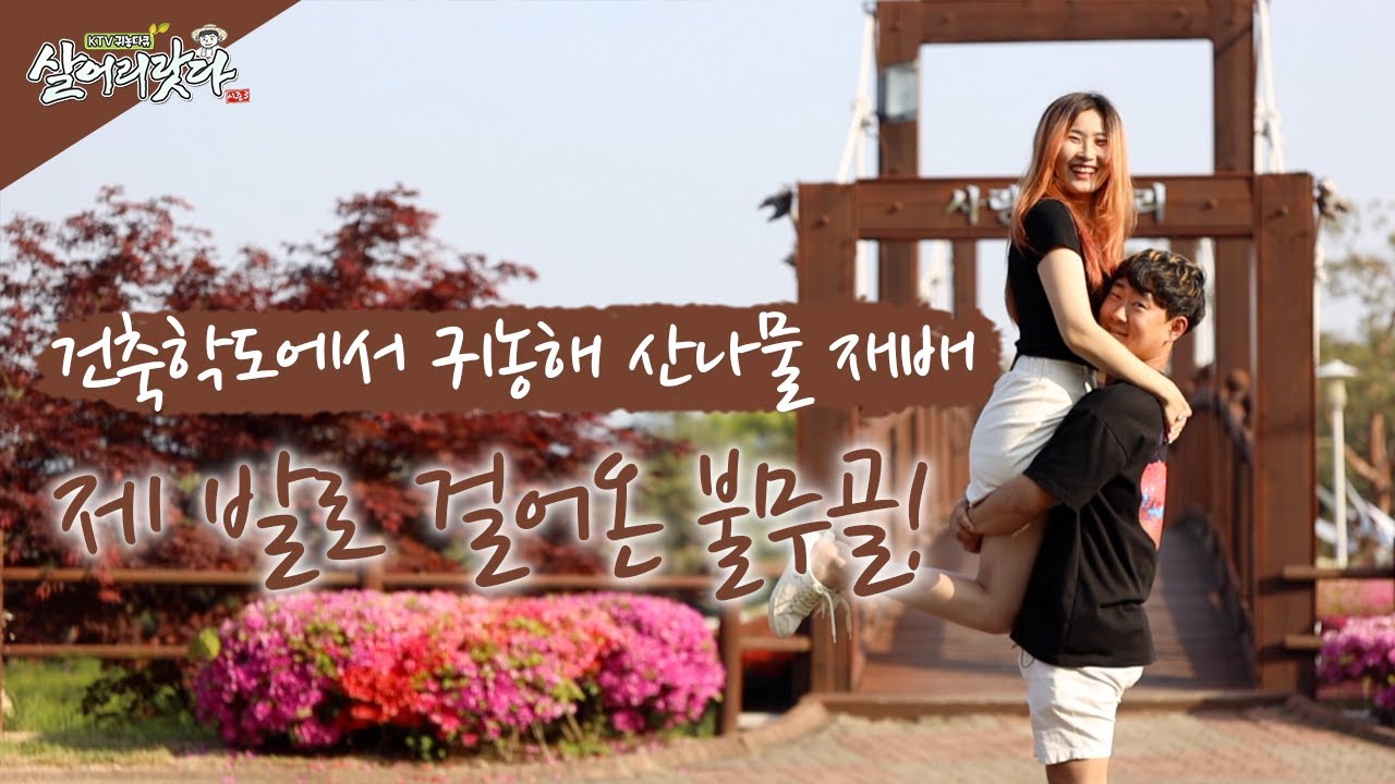 (충남 예산) 불무골 산나물 캐는 산골소녀가 된 아름이... wild green, ktv, korea tv, bts (장아름, 31세)(시즌3)