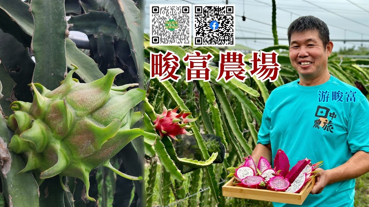 《彰化 畯富農場》智慧務農創新局，共伴作物有玄機
