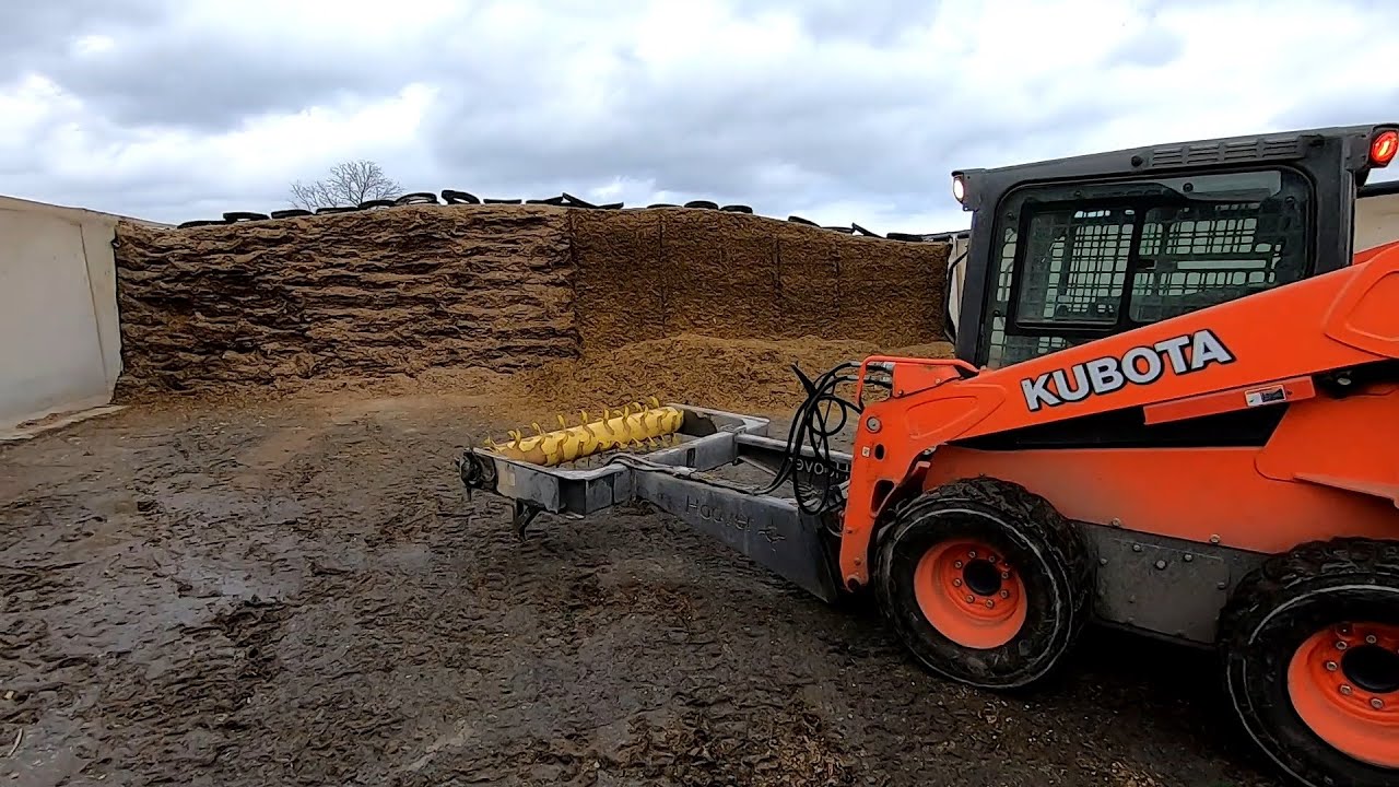 Shaving Corn Silage