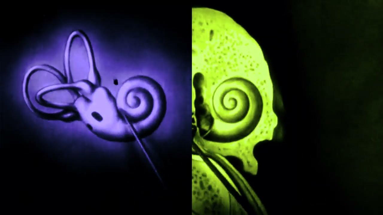 Naoki Wanibuchi - Staining (Original Mix) Video - Dietriangle