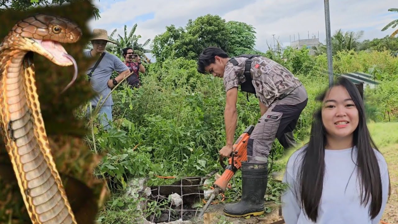 COBRANG NAGPAHIRAP KAY COBRA PRINCE