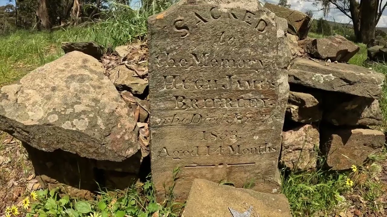 Forest Creek Diggings