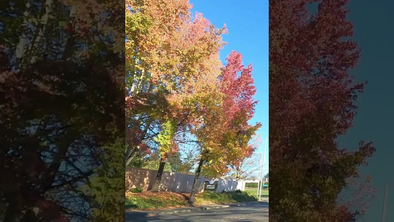 Speeding🚒Emergency🚑Vehicle📢Siren Sound🚨Flashing Lights ASMR