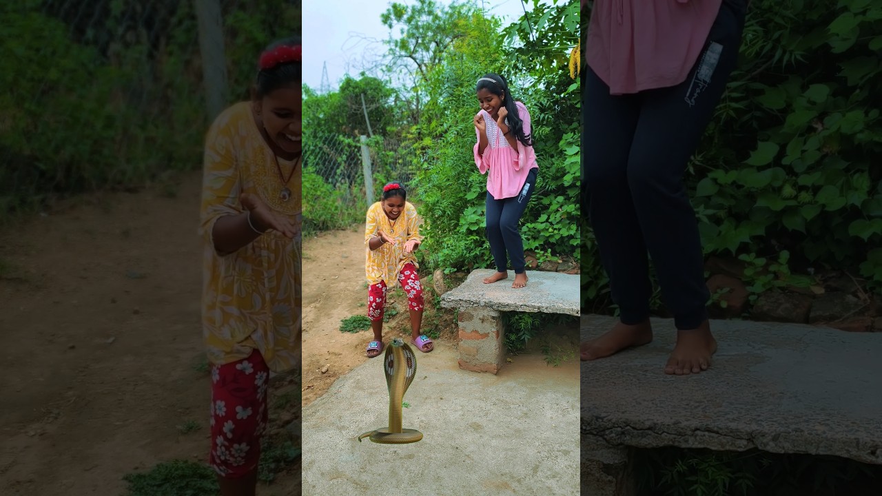 One of the funniest Viral videos on the internet today 🤣😱🐍 #funny #short #viralvideo #subscribe