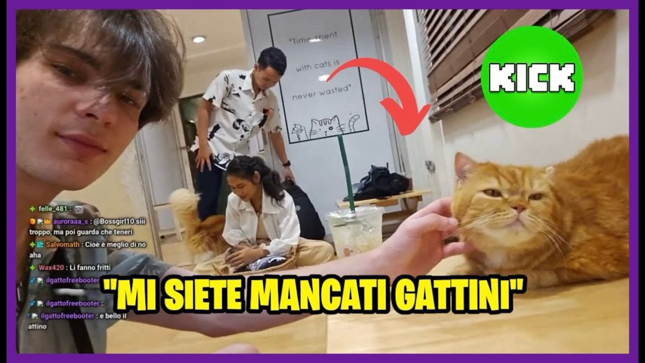 IL RITORNO DEL GABBRONE AL CAT CAFE' *CRAZY* 😹