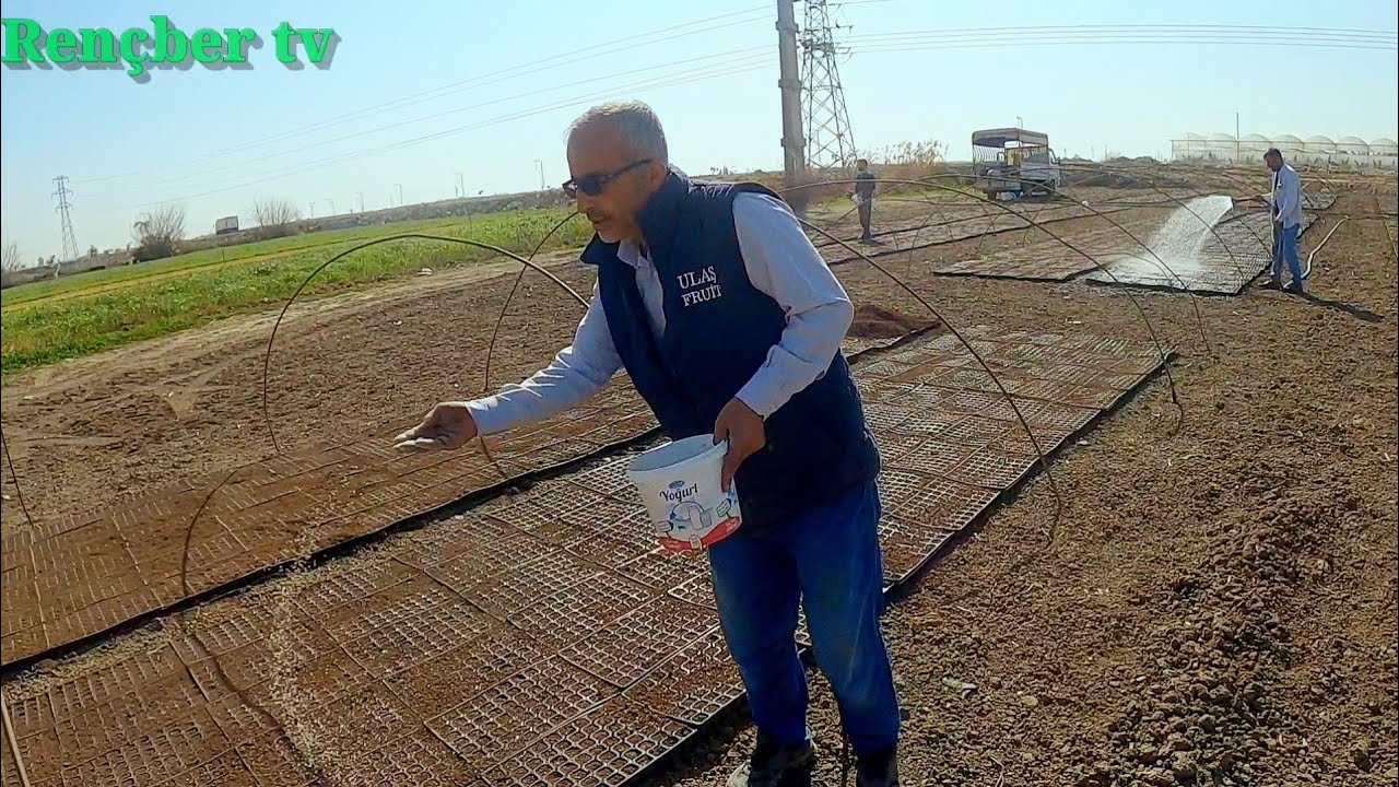 fide için viyollere hangi gübreyi ne kadar ve nasıl atıyorum.