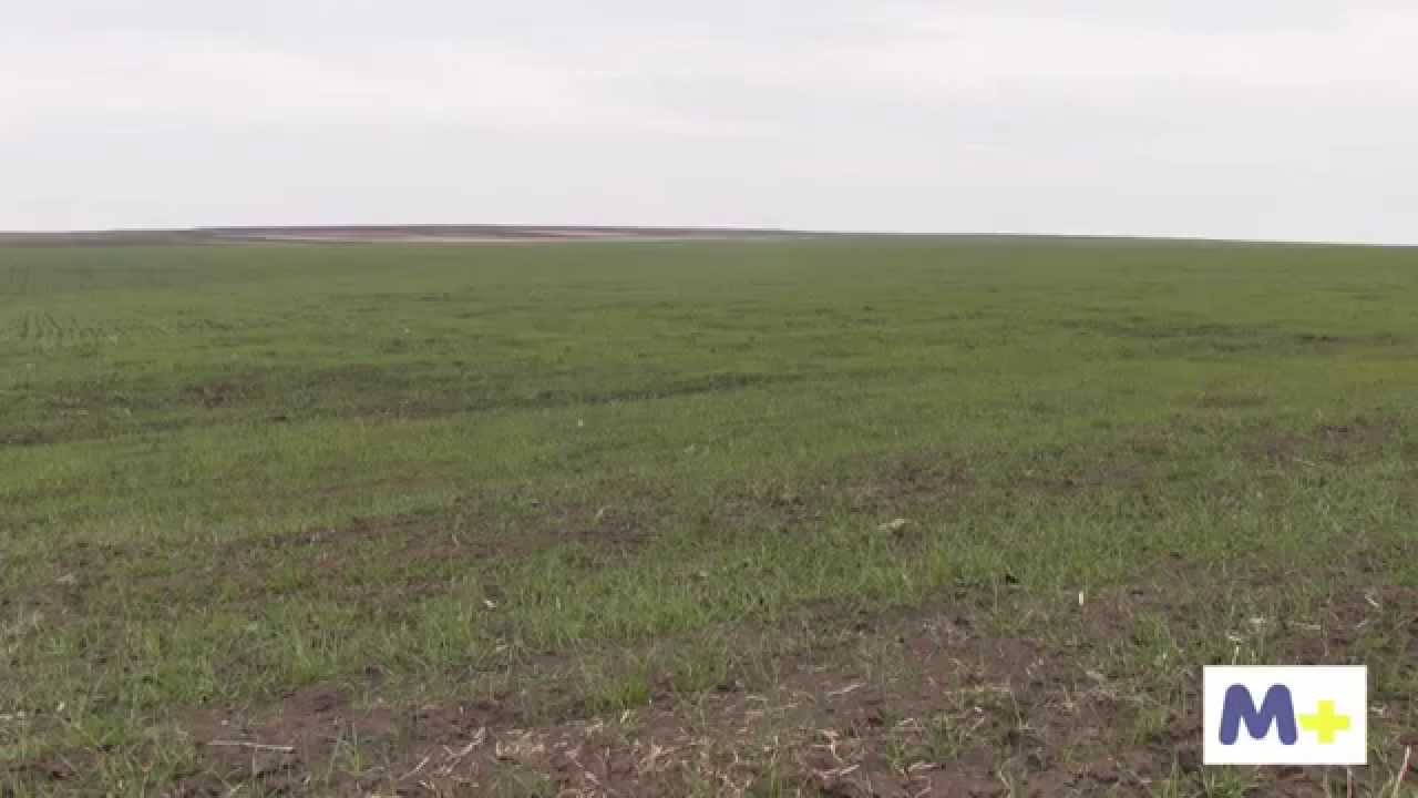 Cum ati descrie principalele etape in agricultura, de la caderea comunismului in Europa?
