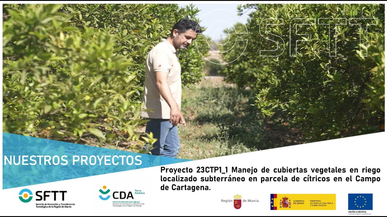 Proyecto 23CTP1_1 Manejo de cubiertas vegetales riego localizado subterráneo parcela de cítricos.