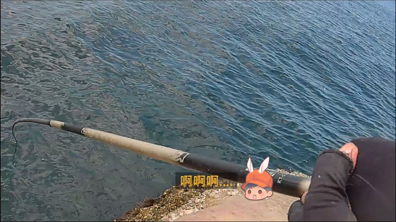 大物的逆襲 明隧道礁岩區 釣況分享 Wild fishing in Taiwan. [嘟嘟釣魚狂#267] 2024/08/01