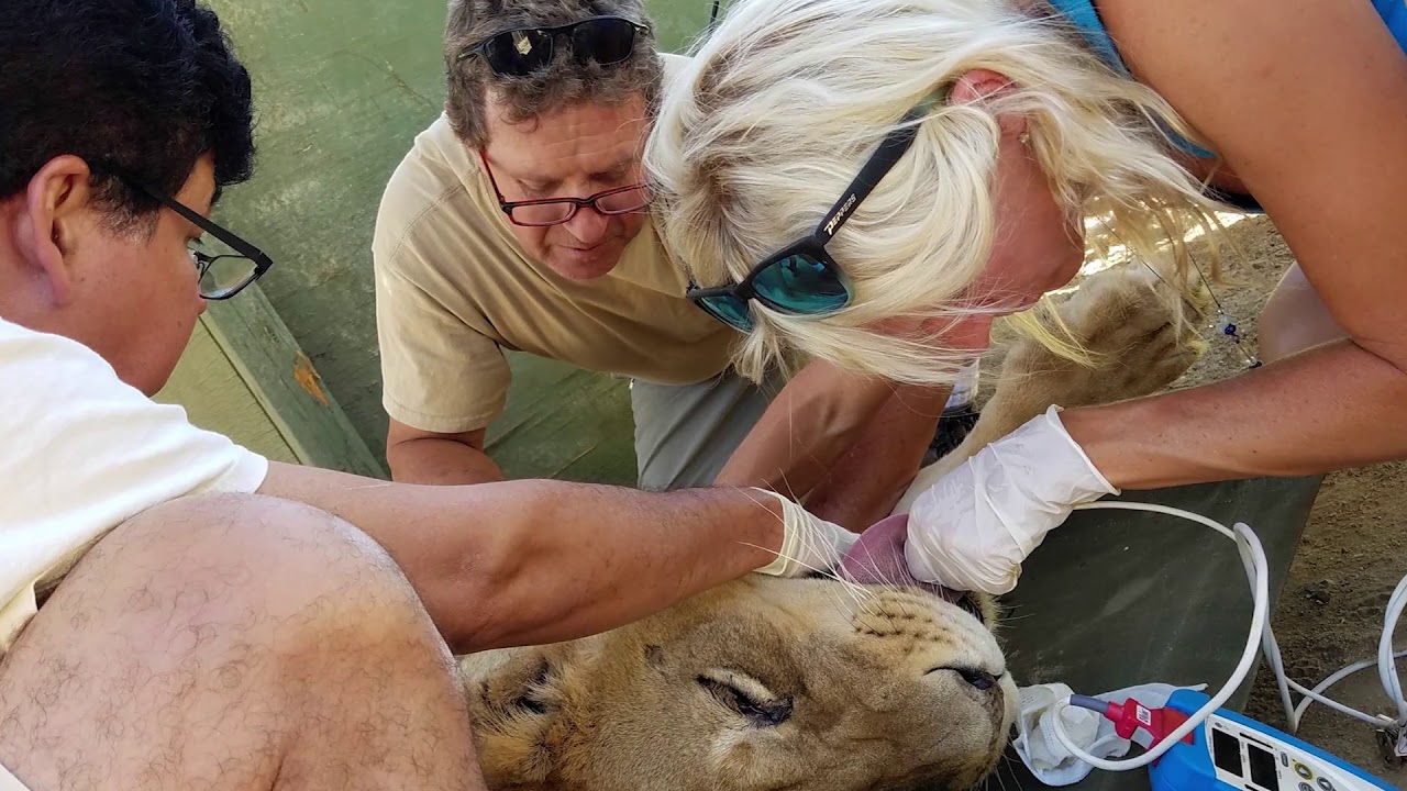 Thank you donors to Wildlife Waystation