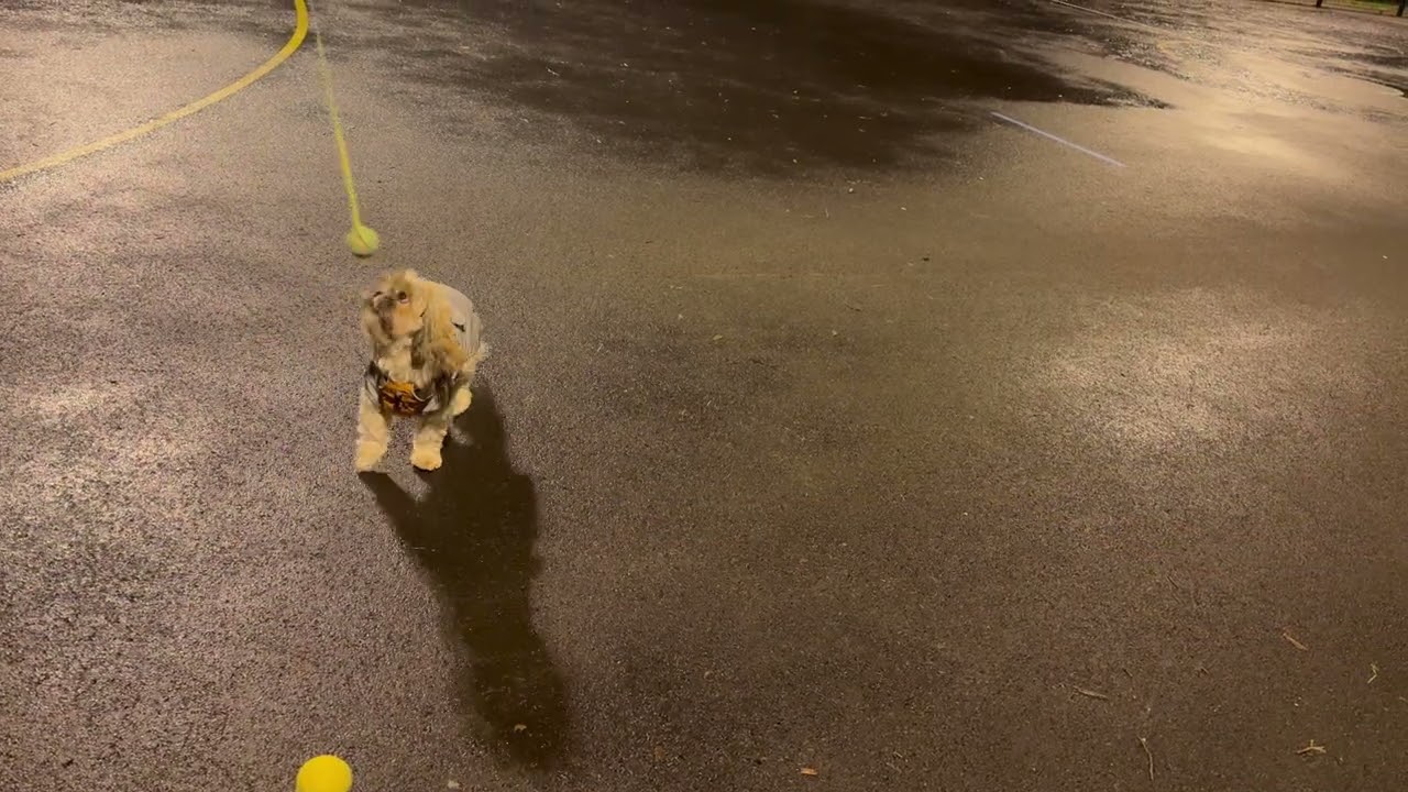 Drone Ball