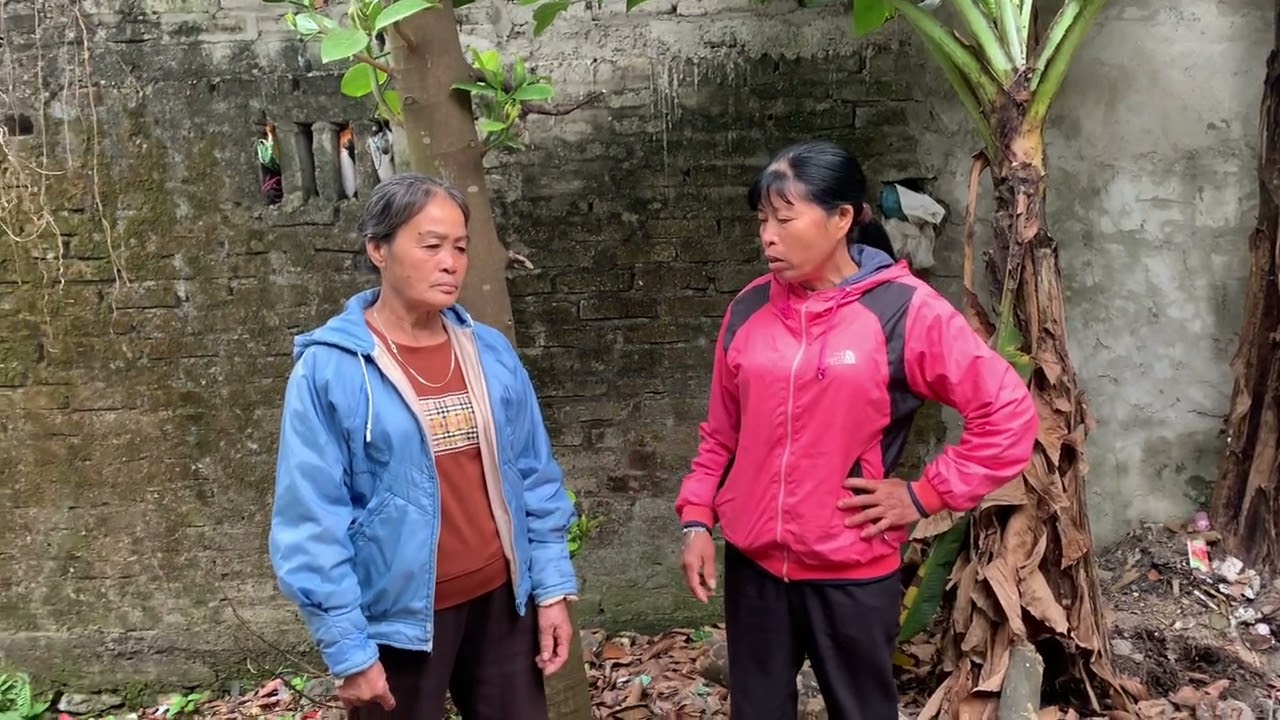 Lấy được tiền chưa.đang hí hửng chưa tiền thì bị phát hiện âm mưu dọa ba quế 