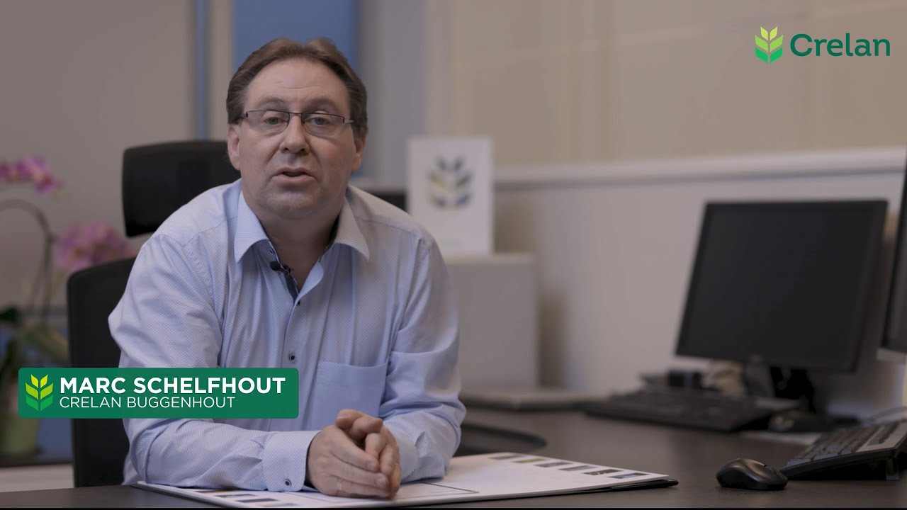 CRELAN BANK - KANTOOR TESTIMONIAL BUGGENHOUT