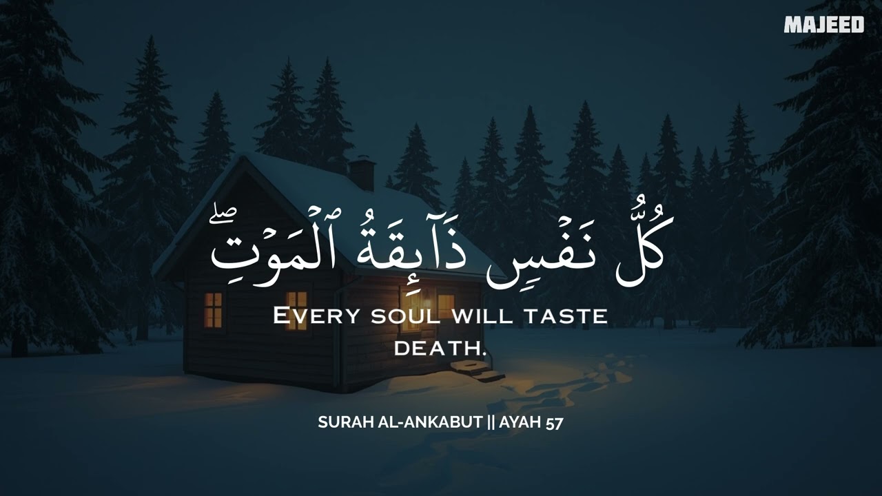 أرح سمعك.. تلاوة هادئة تريح القلب والعقل🩷😴 | ساعة كاملة🕛🎧 القارئ محمد هشام | Mohamed Hesham